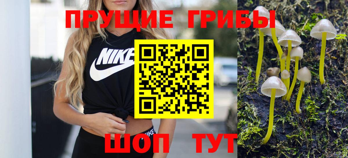 Псилоцибиновые грибы GOLDEN TEACHER Златоуст