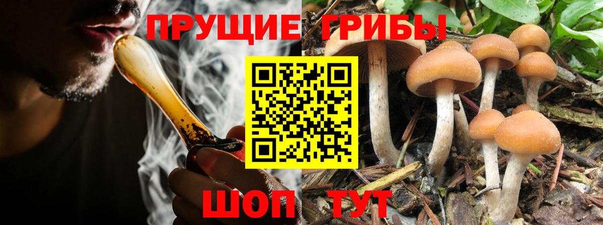 Златоуст  Галлюциногенные грибы ЛСД  Вход с VPN 